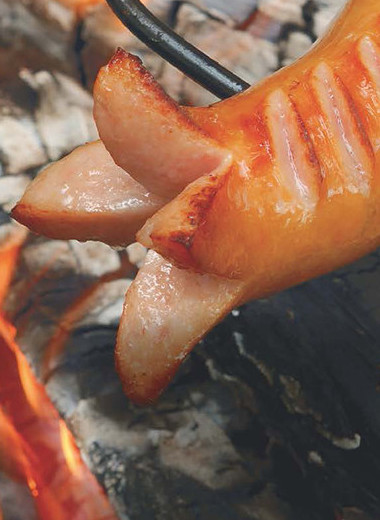 В лес на обед