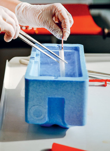 Детки из клетки