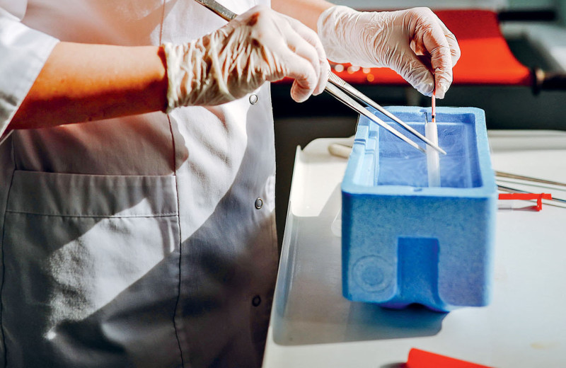 Детки из клетки