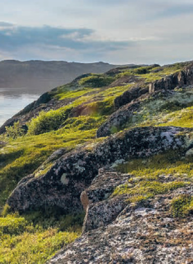 Бизнес на тающей мерзлоте