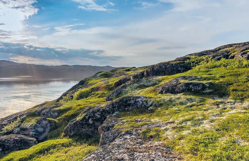 Бизнес на тающей мерзлоте