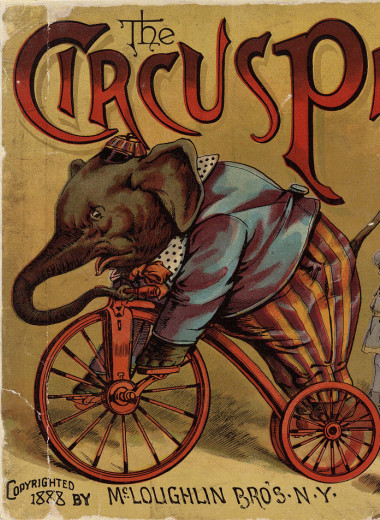 Всемирная история самообмана