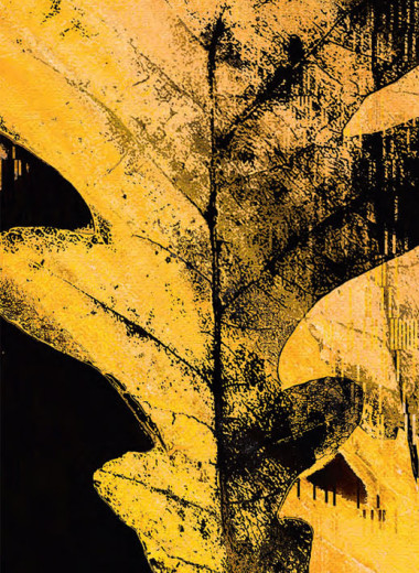 Золотая педаль