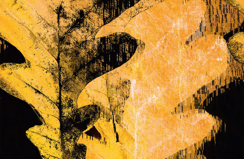 Золотая педаль