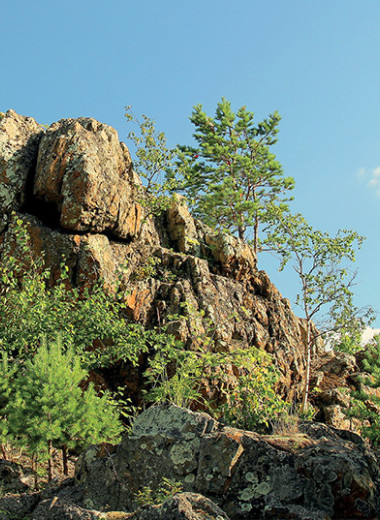 Все мы – немного чудь