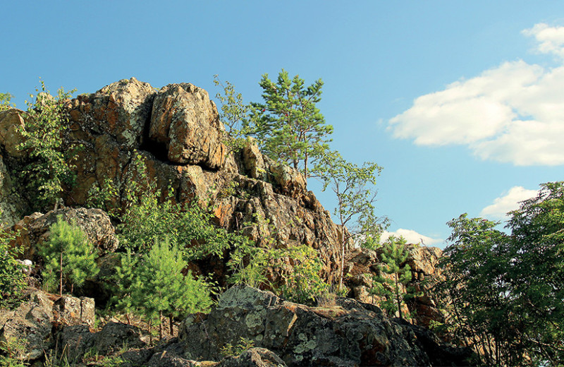 Все мы – немного чудь