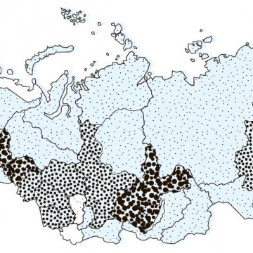 Новая политика