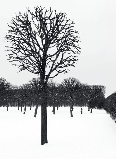 Исключая цвет