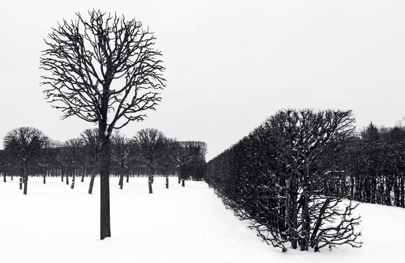 Исключая цвет