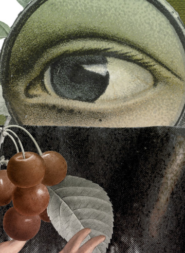 Цвет решает