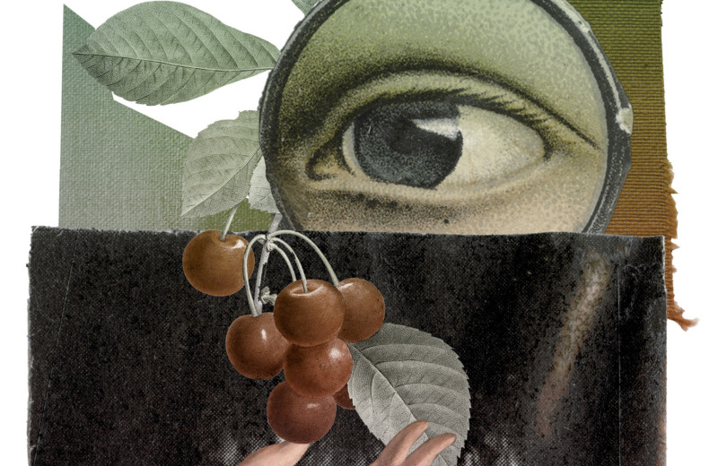 Цвет решает