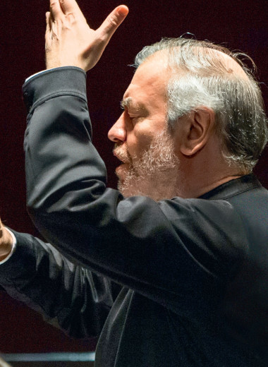 Валерий Гергиев: «Великая история Большого и Мариинского театров не просит, а властно требует эффективного управления»