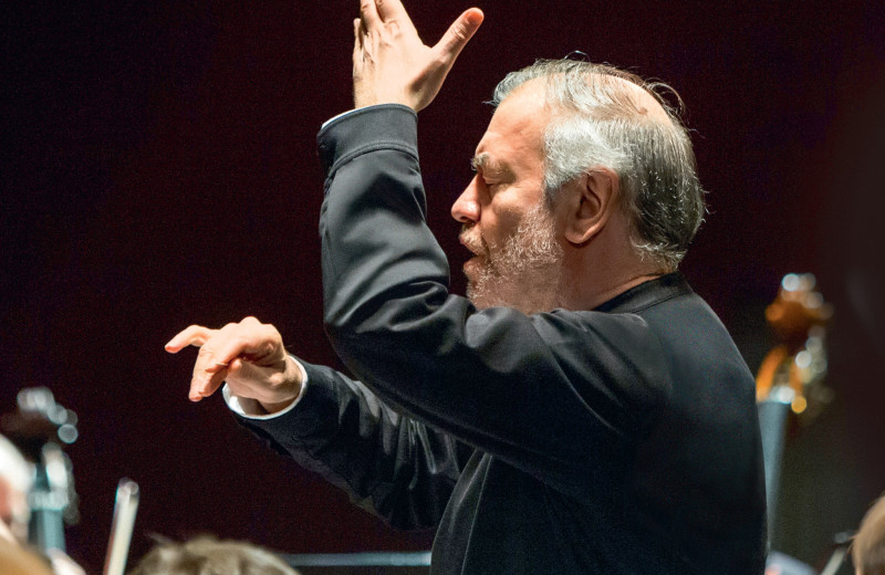 Валерий Гергиев: «Великая история Большого и Мариинского театров не просит, а властно требует эффективного управления»