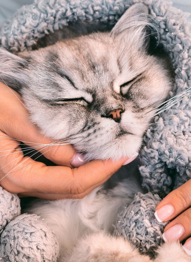 Хорошо ли, когда хорошо?