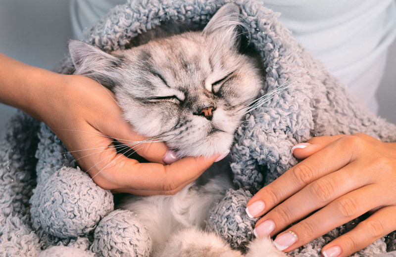 Хорошо ли, когда хорошо?