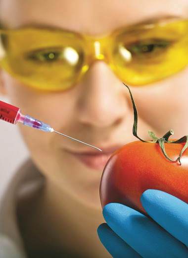 С научным подходом. Что такое ГМО-продукты и можно ли их есть