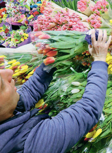 Цветоводам нужна забота