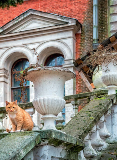 Усадебное хозяйство