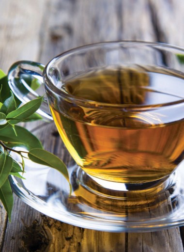 Можно ли пить черный чай? Или зеленый лучше?