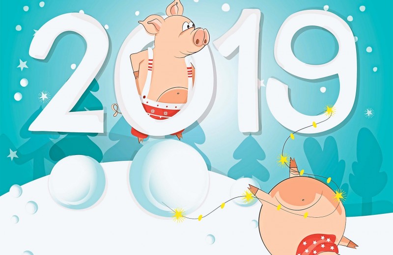 Каким будет год Свиньи для тебя?