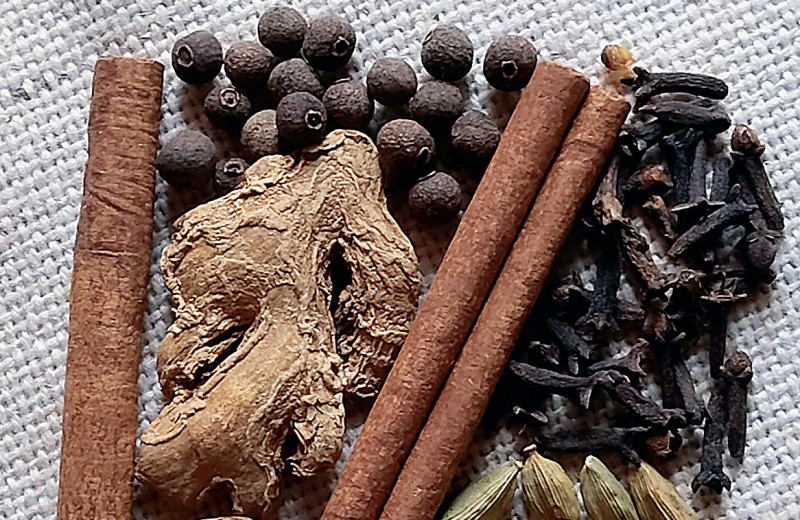 Масала, чай и Великие Моголы