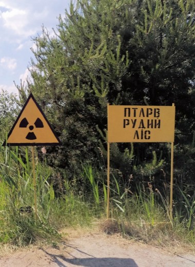 Во власти радиации