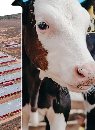 Поворотный нацпроект