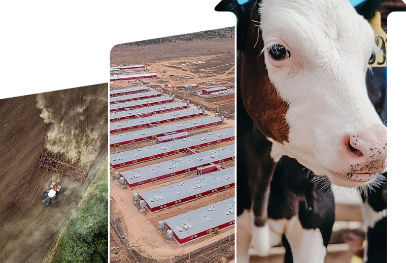 Поворотный нацпроект