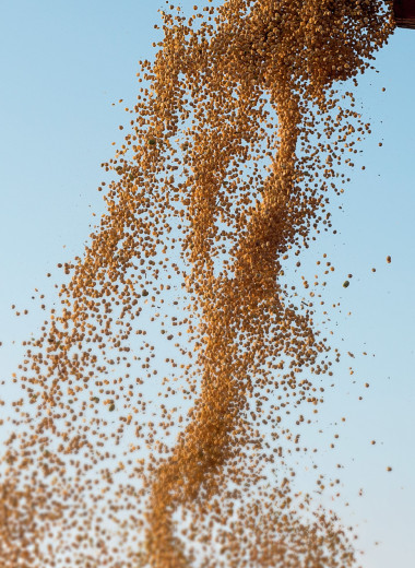 Аграрии останутся на бобах