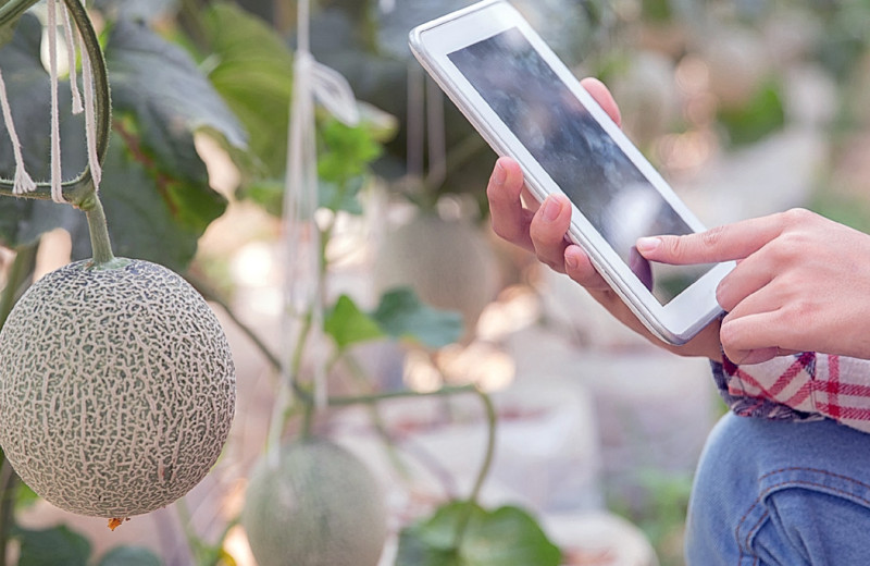 АПК на пути к цифровой зрелости