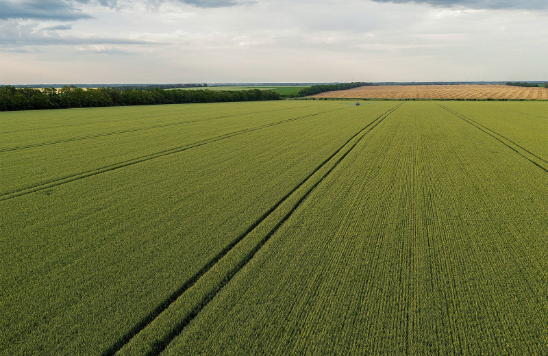 Лидер российского сельхозпроизводства