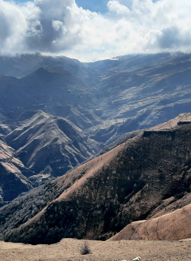 Планета людей