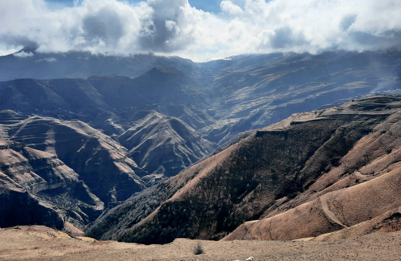 Планета людей