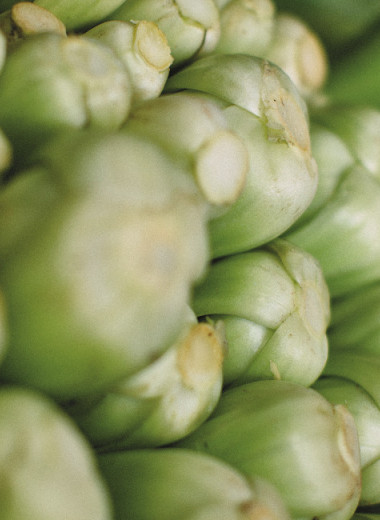 Свобода и булочка