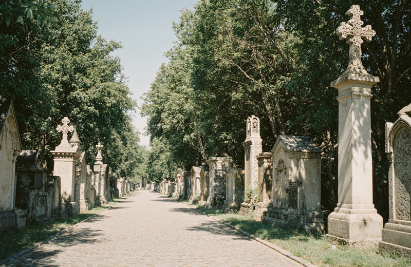 Французские могилы русских соборян