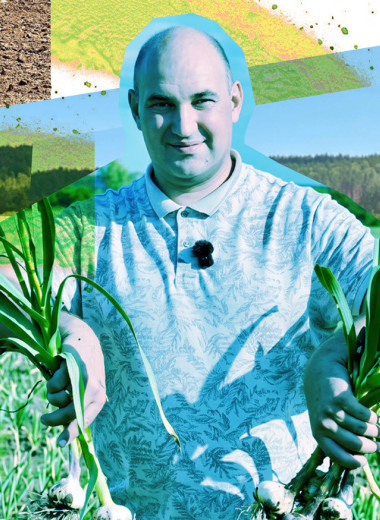 Территория чеснока