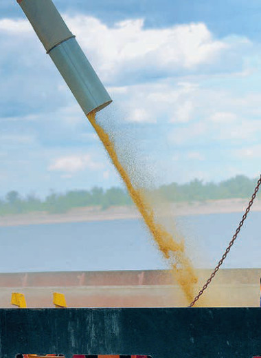 Таможня дает зерно