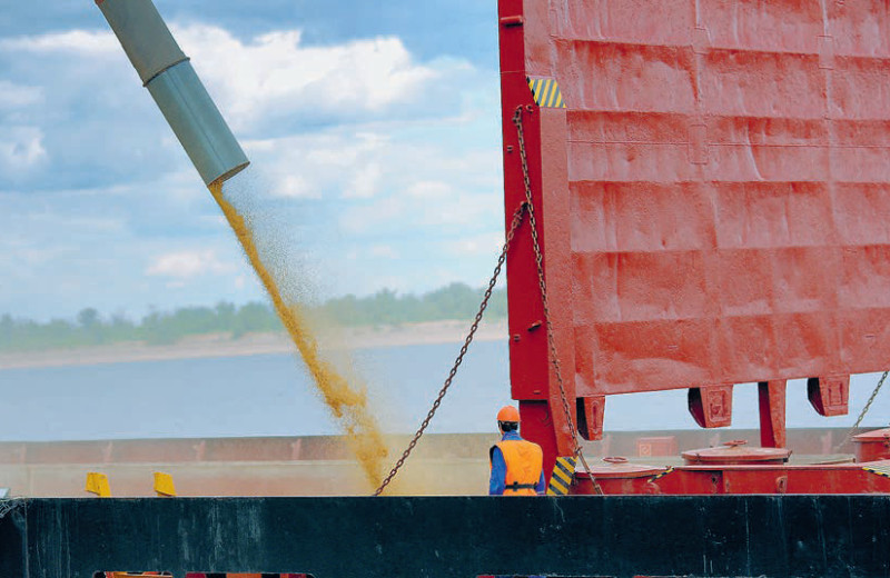 Таможня дает зерно