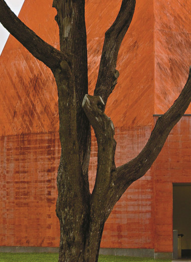 Скромные великаны