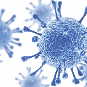 Вирусы: эффективные правила защиты