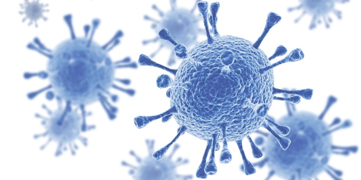 Вирусы: эффективные правила защиты