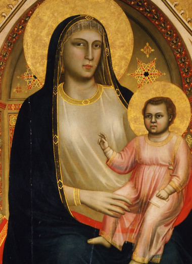 Роза без шипов