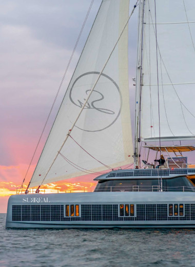 Светлая сила