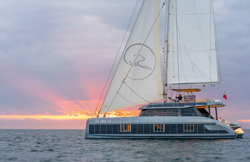 Светлая сила