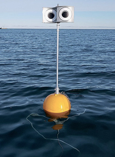 Занимательные новости