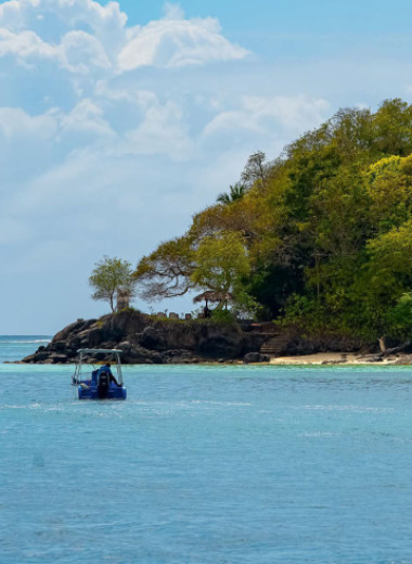 Дауншифтер столетия