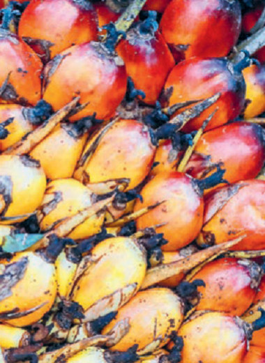 Регулирование как по маслу