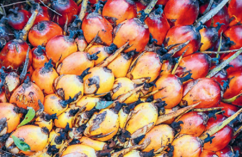 Регулирование как по маслу