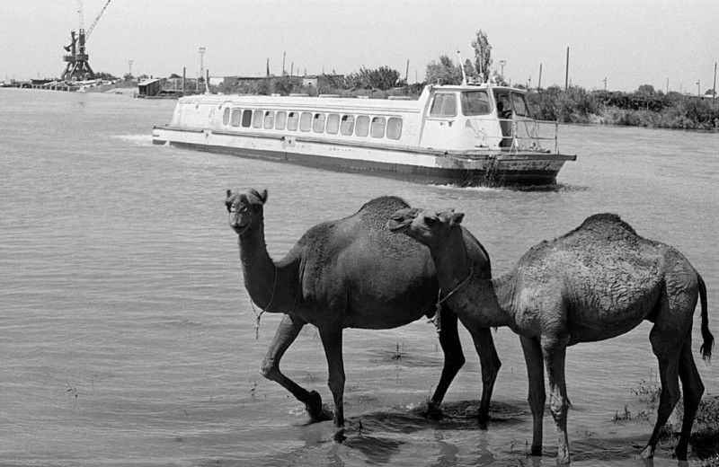 Перераспределение стока рек: миф может стать реальностью