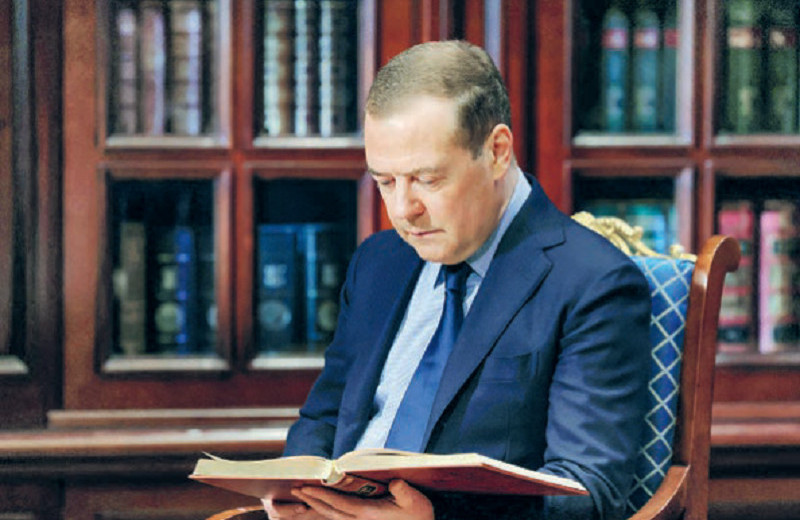 Медвежьи истории